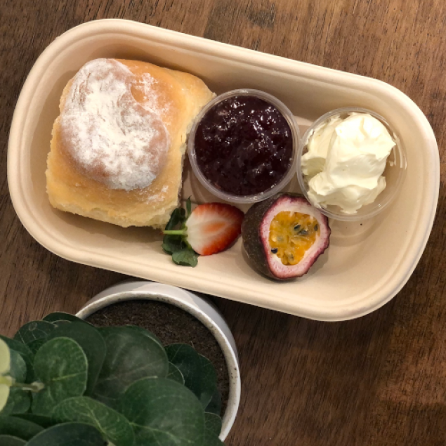 Freshly baked scone with jam & cream (individually packed )